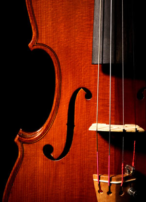 Philippe Violin Player